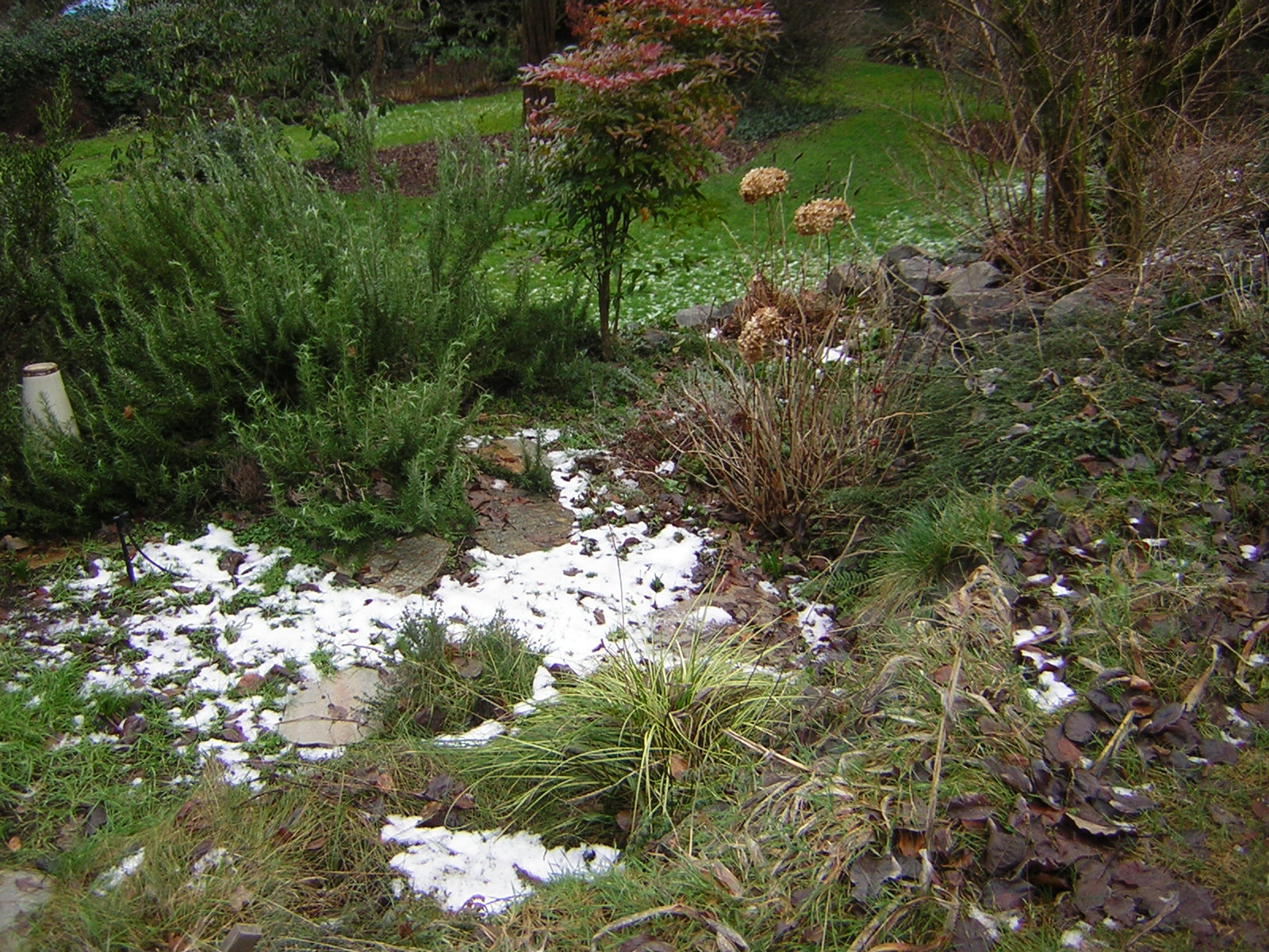 DSCN1096.jpg
