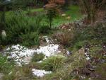 DSCN1096.jpg