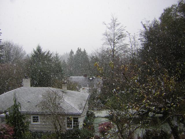 DSCN2815.jpg