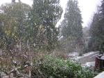 DSCN2816.jpg