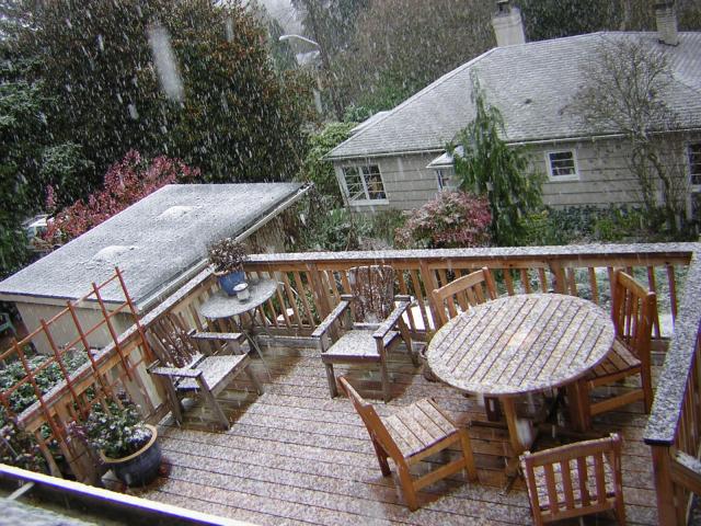 DSCN2817.jpg