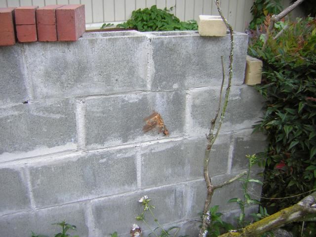 DSCN0427.jpg
