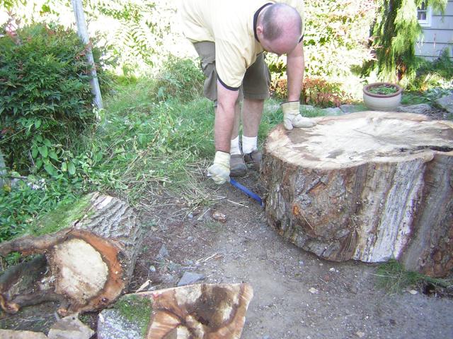 DSCN0425.jpg
