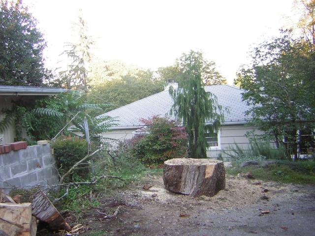 DSCN0426.jpg