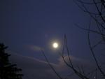DSCN1109.jpg