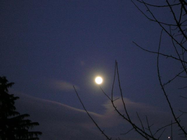 DSCN1109.jpg
