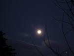 DSCN1110.jpg