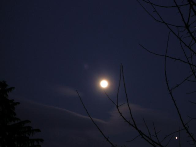 DSCN1110.jpg