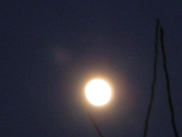 DSCN1111.jpg