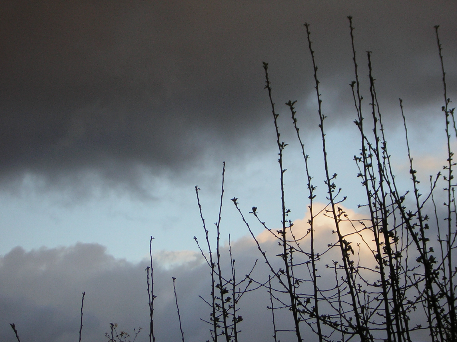 DSCN1398.jpg