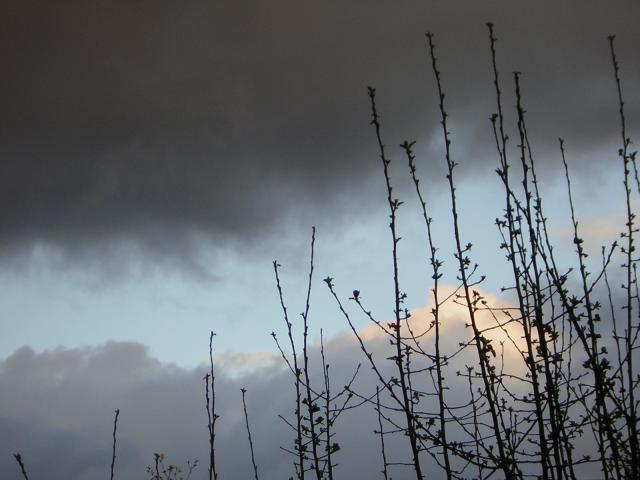DSCN1398.jpg