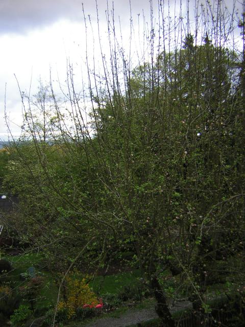 DSCN1399.jpg