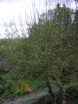 DSCN1401.jpg
