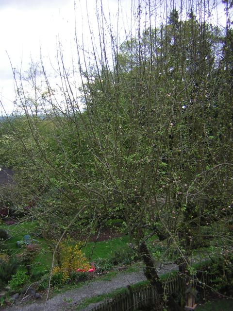 DSCN1401.jpg