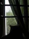 DSCN1412.jpg