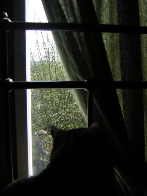 DSCN1412.jpg