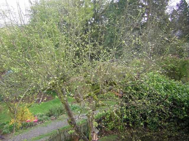 DSCN1415.jpg