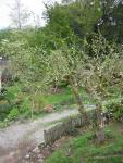 DSCN1431.jpg