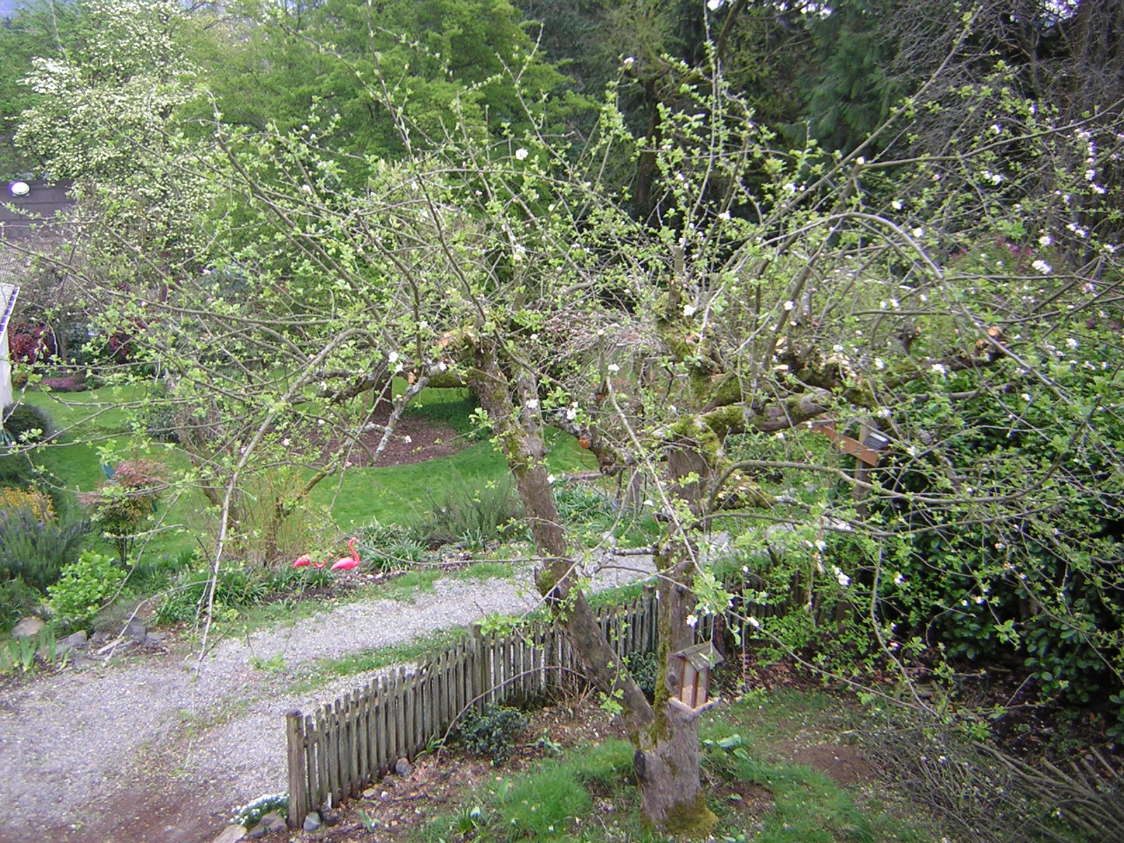 DSCN1432.jpg