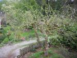 DSCN1432.jpg