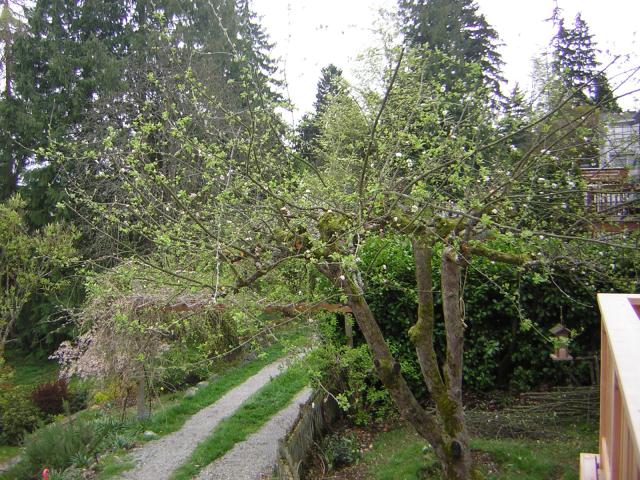 DSCN1433.jpg