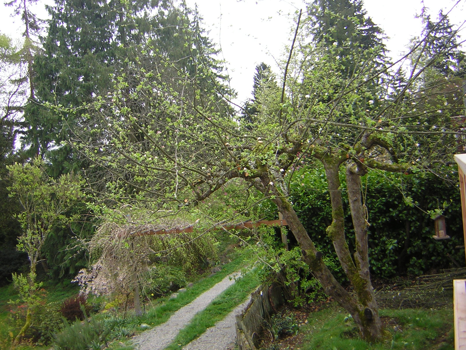 DSCN1434.jpg