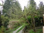 DSCN1434.jpg