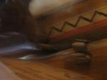 DSCN1405.jpg