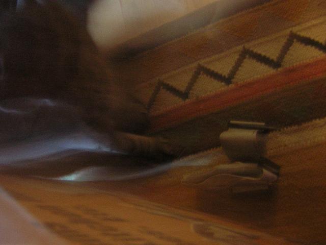 DSCN1405.jpg