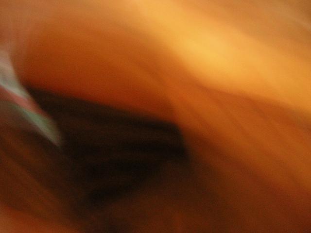 DSCN1406.jpg