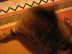 DSCN1407.jpg
