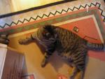 DSCN1408.jpg