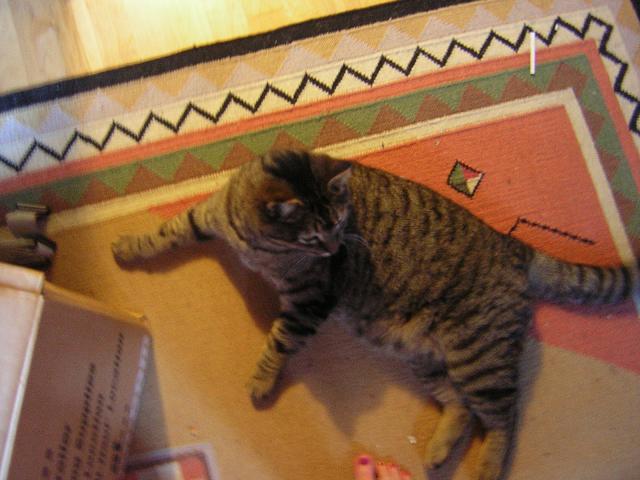 DSCN1408.jpg