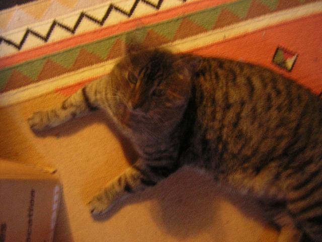 DSCN1409.jpg