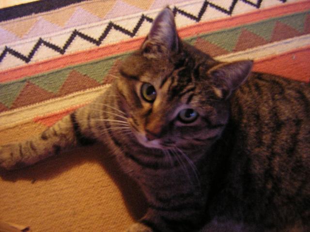 DSCN1410.jpg