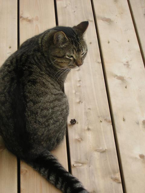 DSCN1437.jpg