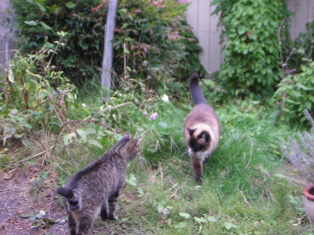 DSCN0348.jpg