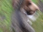 DSCN0349.jpg
