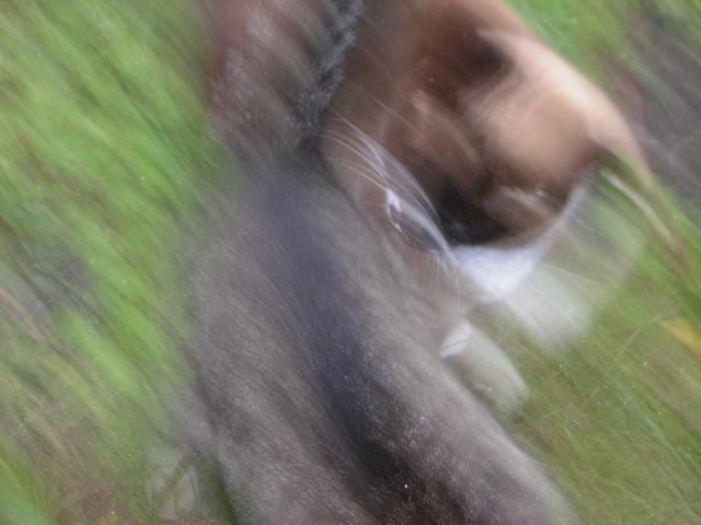 DSCN0349.jpg