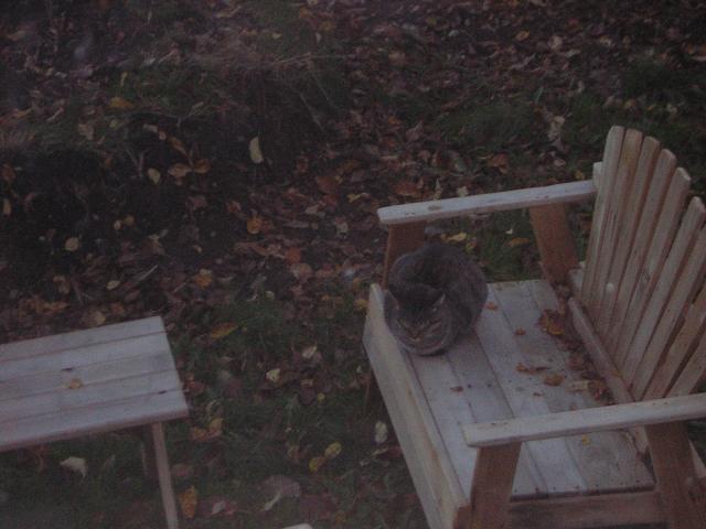 DSCN0521.jpg