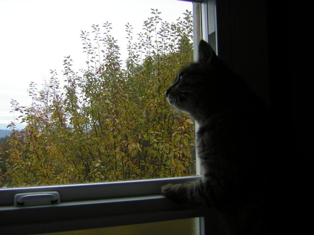 DSCN0646.jpg