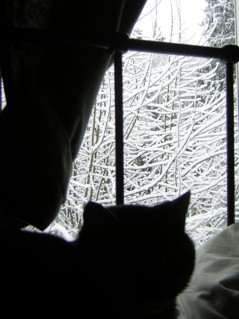DSCN1058.jpg