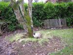 DSCN1098.jpg