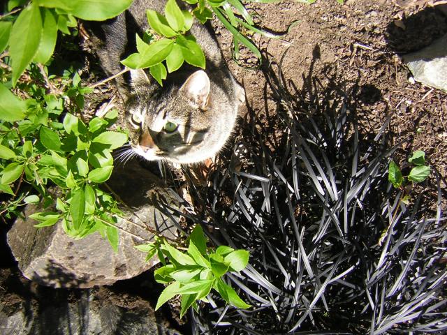 DSCN1489.jpg