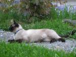 DSCN1524.jpg