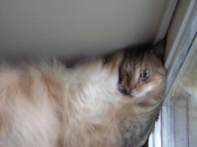 DSCN2041.jpg