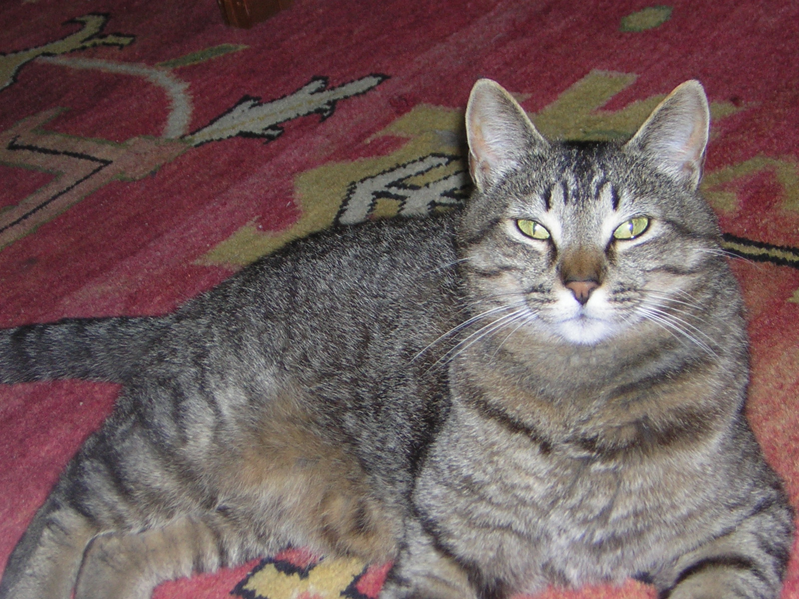 DSCN2441.jpg