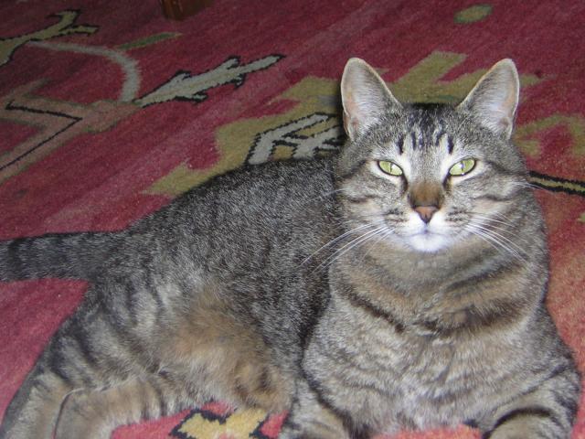 DSCN2441.jpg