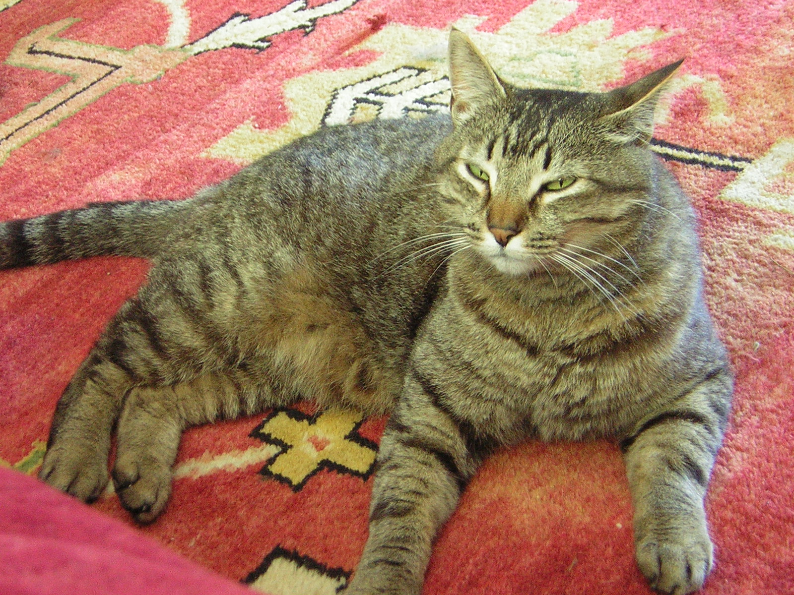 DSCN2444.jpg