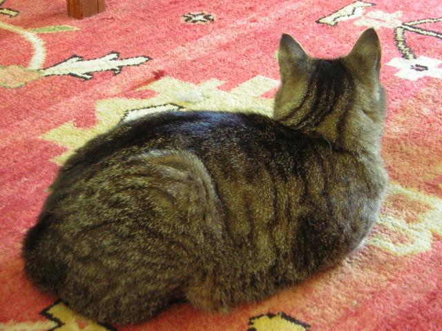 DSCN2445.jpg